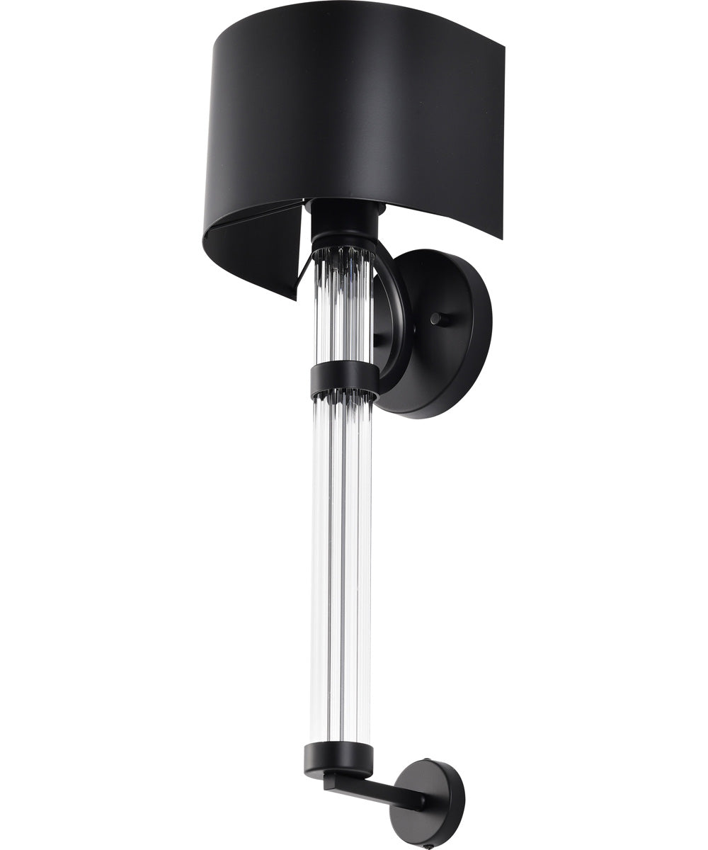 Teagon 1-Light Vanity & Wall Matte Black