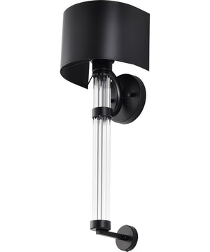 Teagon 1-Light Vanity & Wall Matte Black