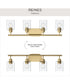 Reines 4-Light Bath Vanity with Clear Glass Shades Brushed Gold