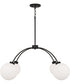 Amos 4-Light Chandelier Black Iron