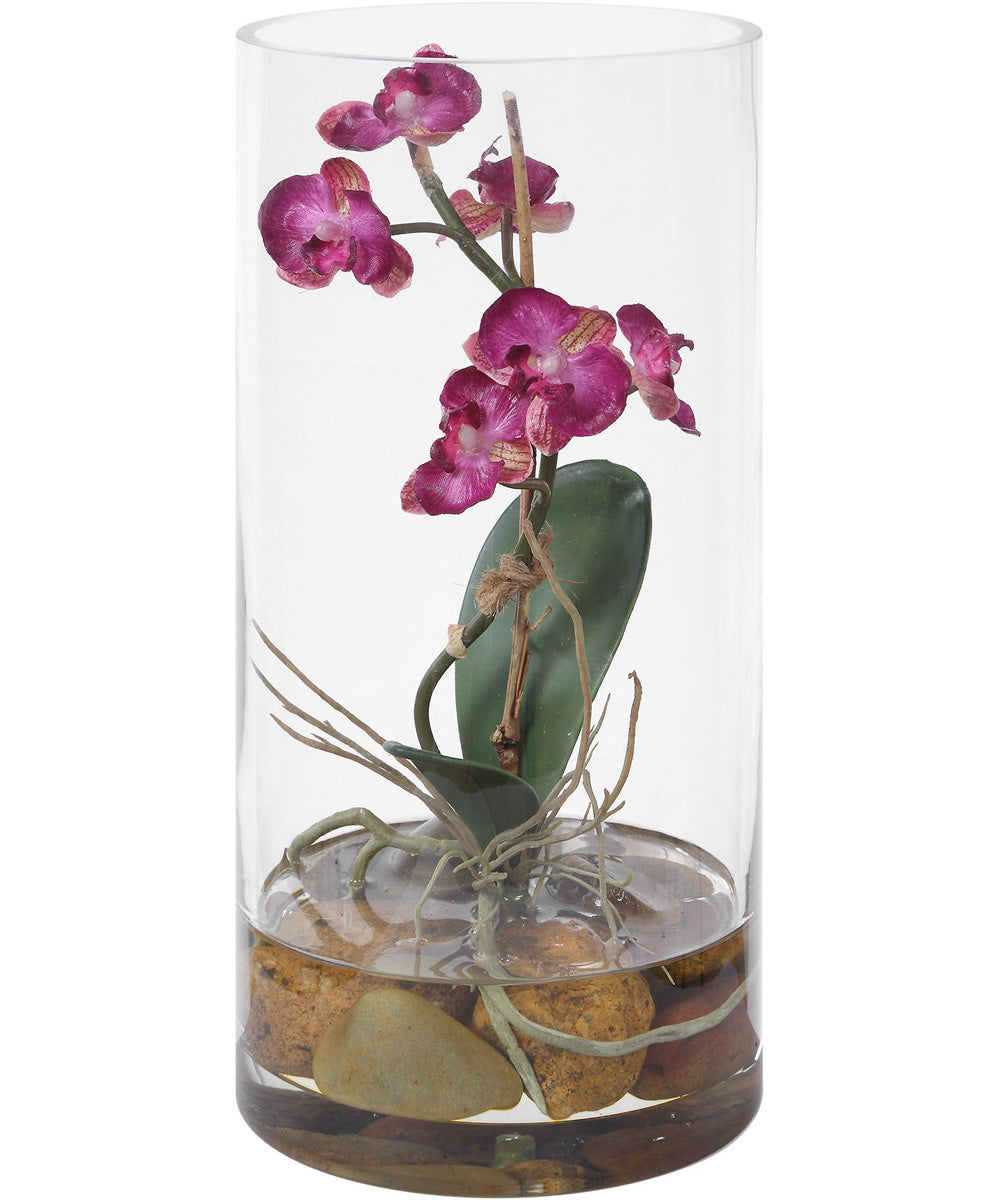 Mariposa Fuchsia Orchid