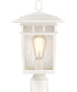 Cove Neck 1-Light Outdoor White