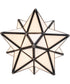10" Wide Moravian Star Pendant