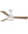 Ceiling Fans with Remotes