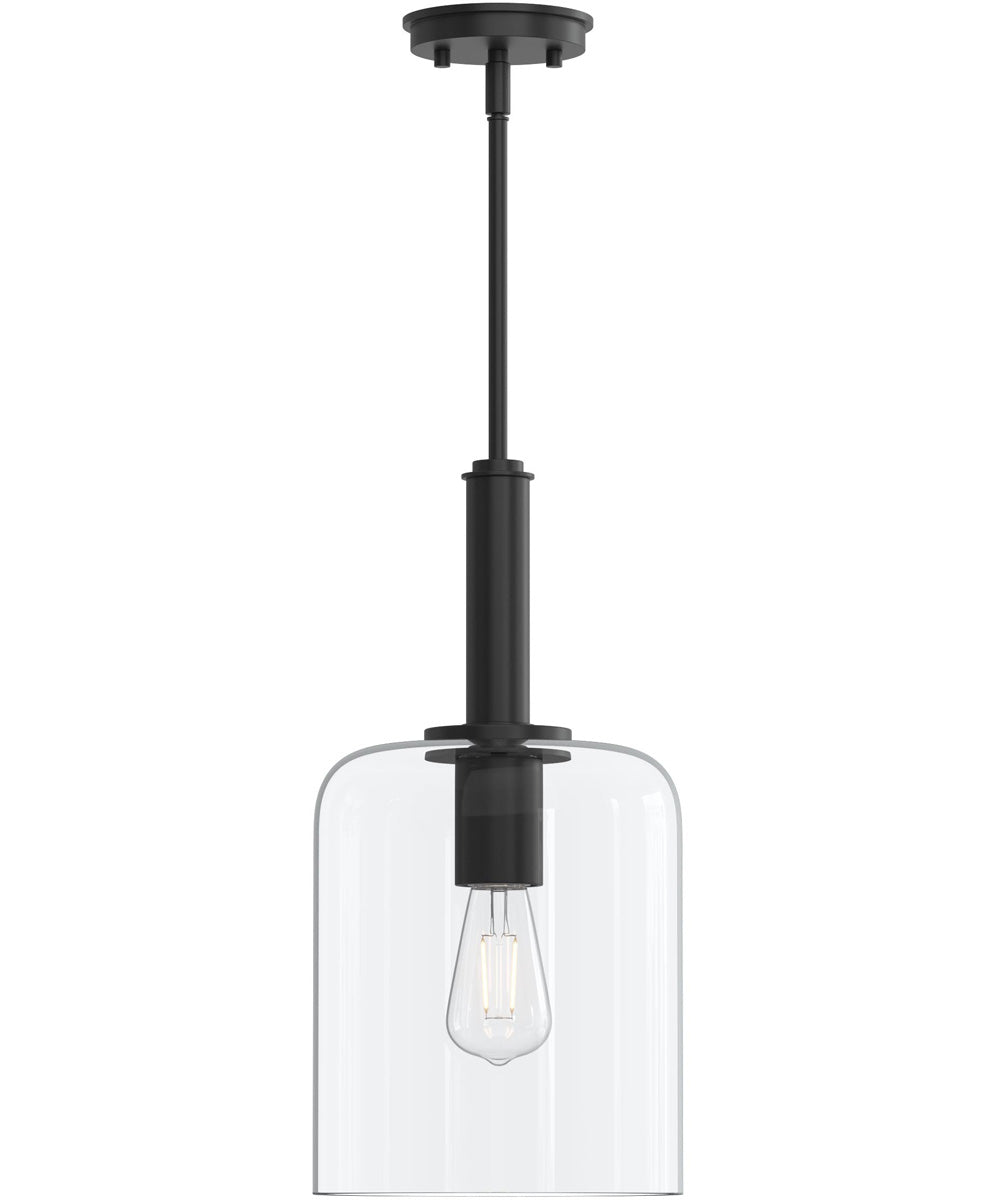 Reines 1-Light Pendant with Clear Glass Shade Matte Black