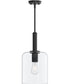 Reines 1-Light Pendant with Clear Glass Shade Matte Black