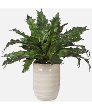 Verdure Fern In Glazed Pot