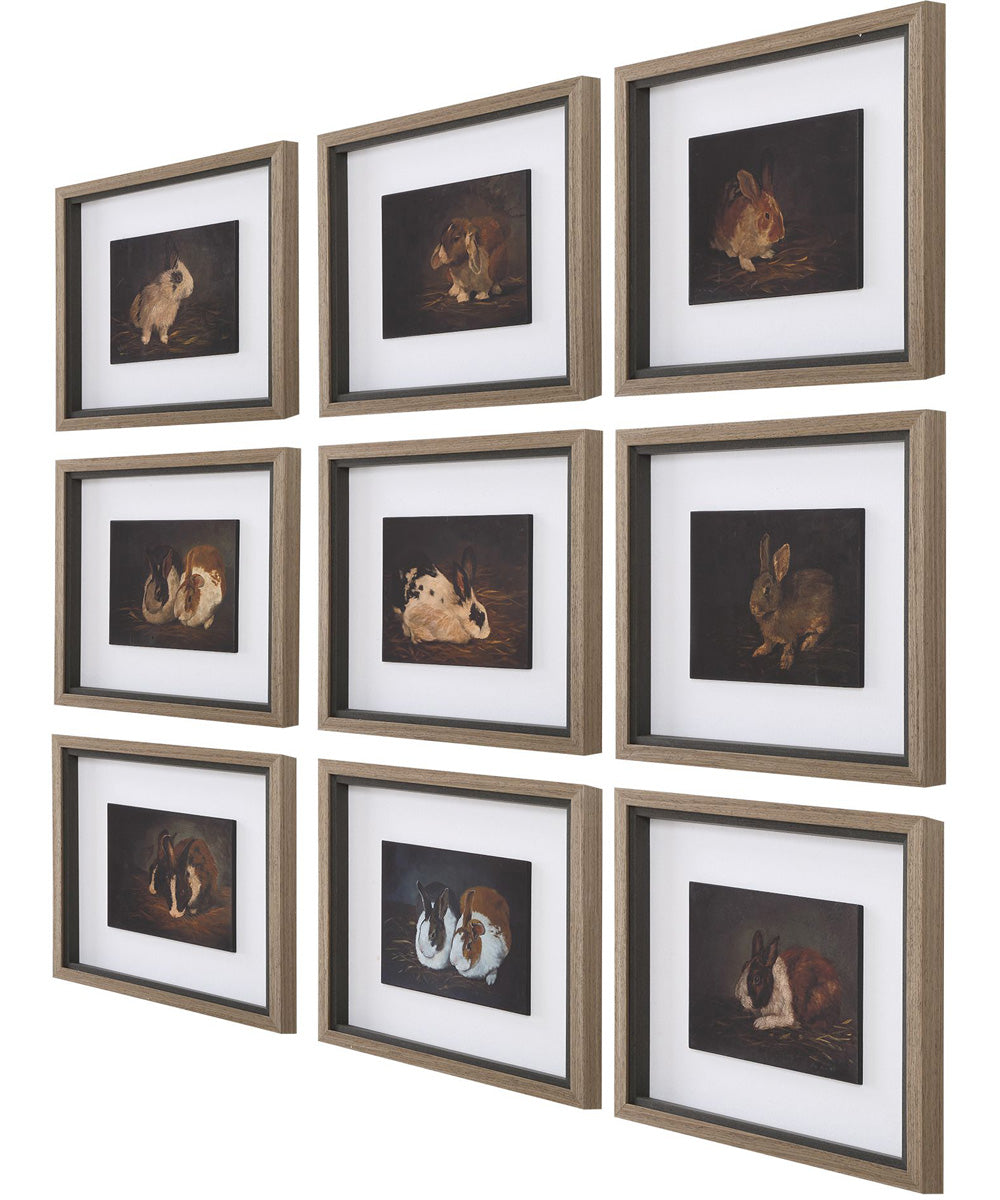 Resting Bunny Framed Prints Set/9