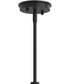 Reines 1-Light Pendant with Clear Glass Shade Matte Black