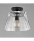 Hudson 1-Light Semi-Flush Mount/Pendant Black