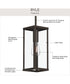 Ryle 1-Light Outdoor Pendant Light with Clear Glass Panels Antique Bronze