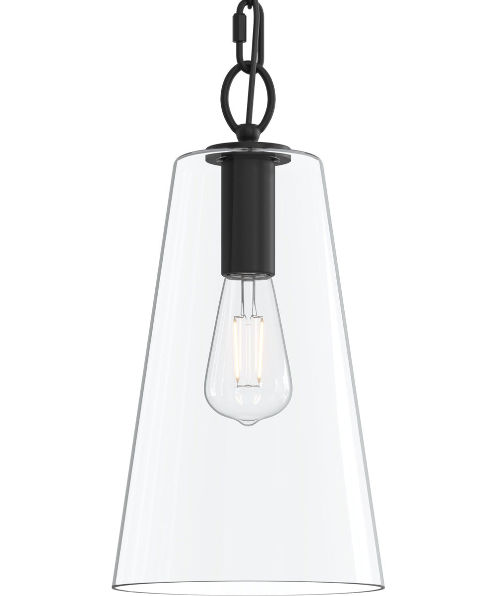 Jheni 1-Light Pendant with Clear Glass Shade Matte Black