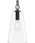 Jheni 1-Light Pendant with Clear Glass Shade Matte Black