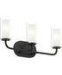 Mack 3-Light Vanity Light with Layered Glass Shades Matte Black