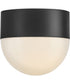 Bardi 1-Light Small Flush Mount in Black