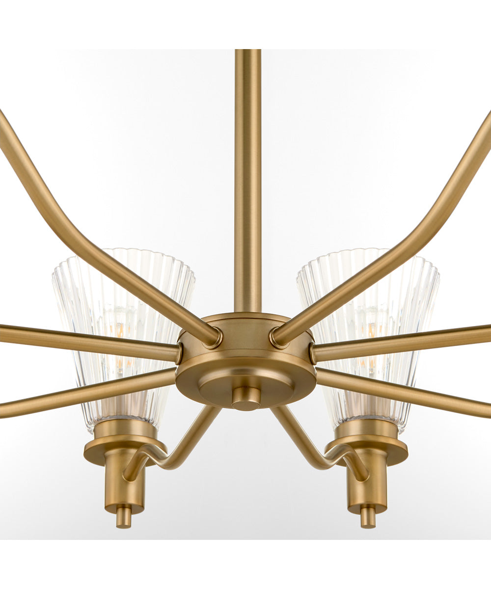 Lawton 8-light Chandelier Brushed Brass