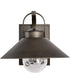 Ridge 1-Light Outdoor Bronze