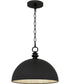 Braylon 4-light Pendant Matte Black