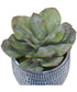 Puebla Greenery In Blue & White Pots, Set of 3