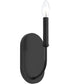 Reines 1-Light Wall Sconce Matte Black