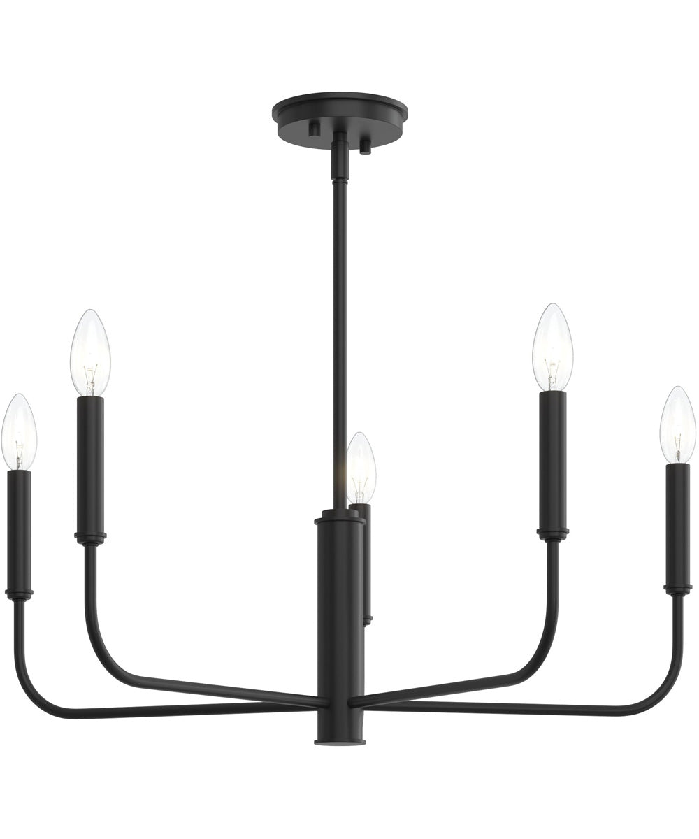 Reines 5-Light Medium Chandelier Matte Black