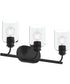 Reines 3-Light Bath Vanity with Clear Glass Shades Matte Black
