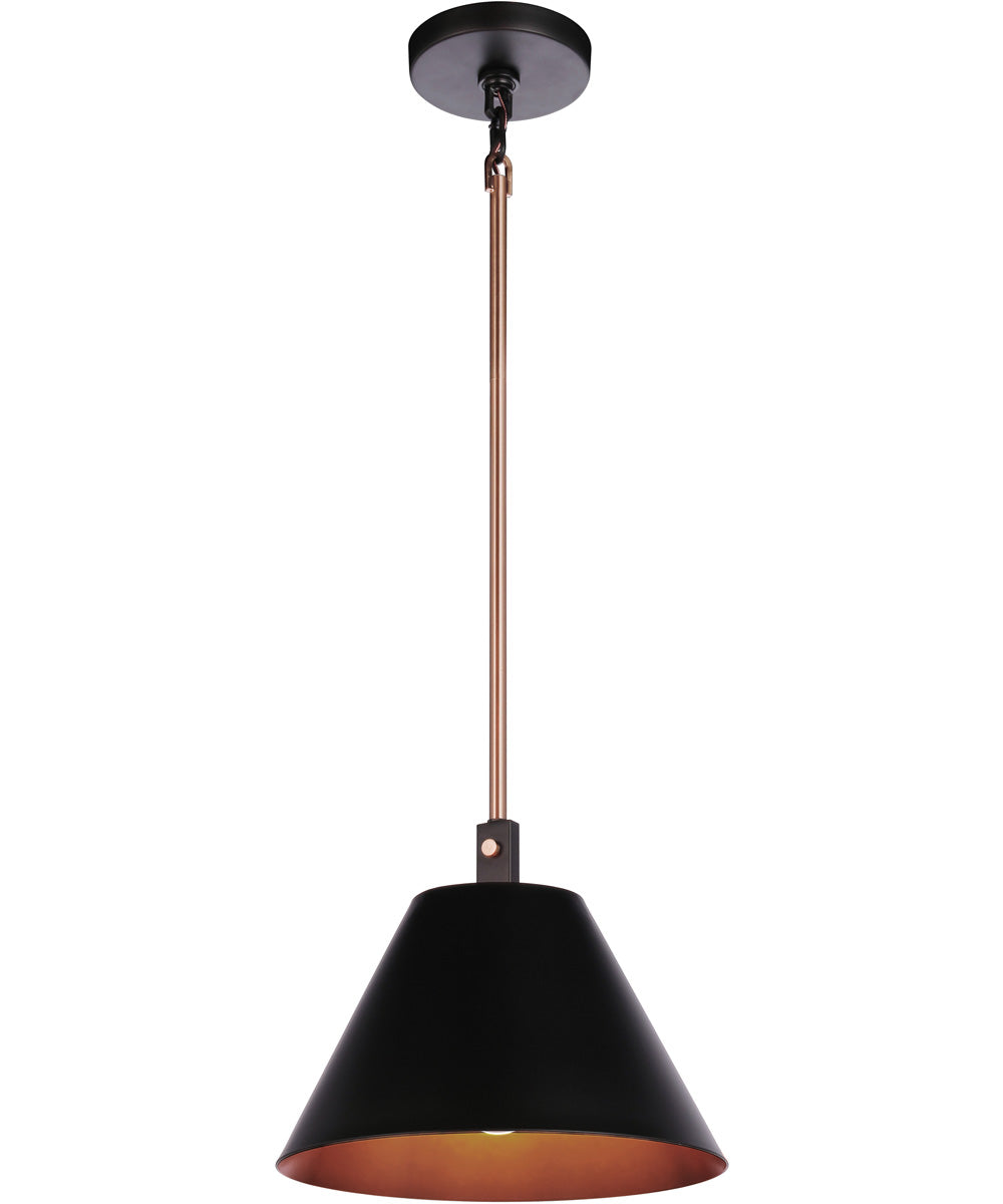 Blake 1-Light Lighting Flat Black/Satin Brass