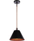 Blake 1-Light Lighting Flat Black/Satin Brass