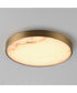 Slab 12 inch LED Alabaster Flush Mount Natural Aged Brass