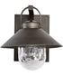 Ridge 1-Light Outdoor Bronze