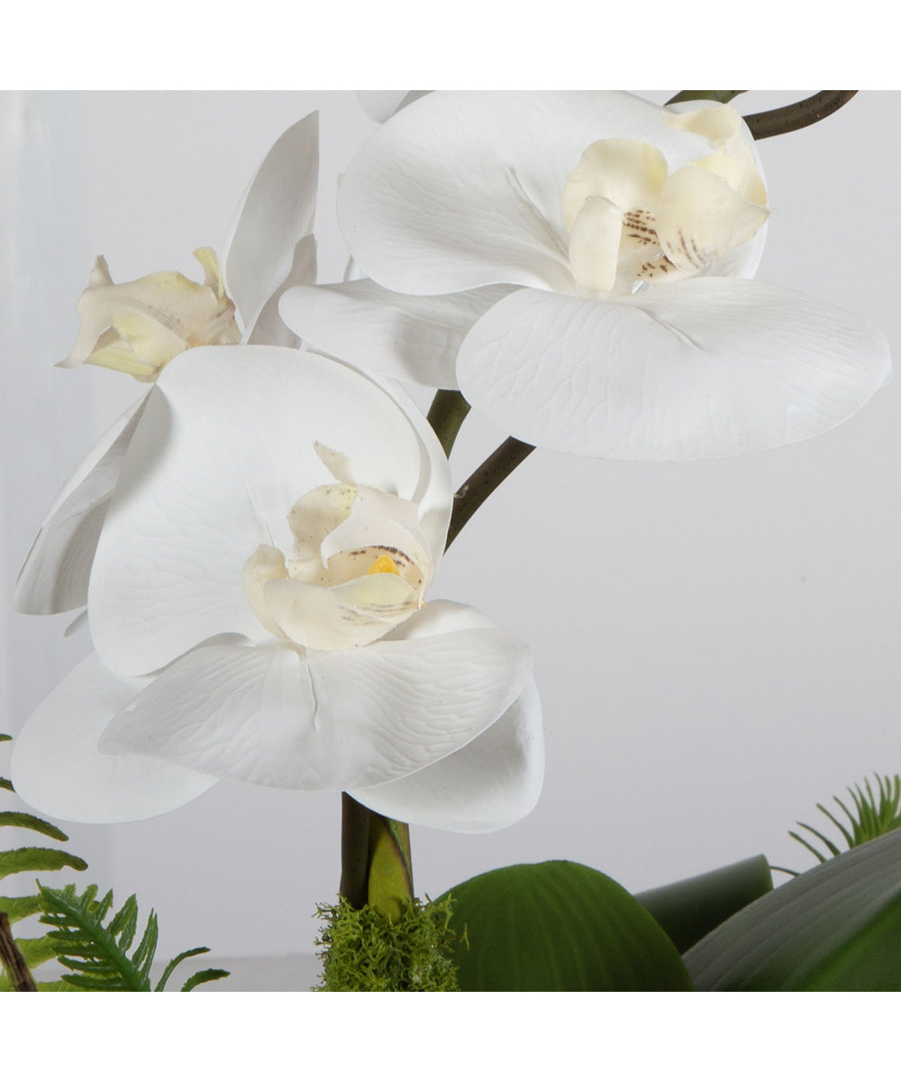 Transcend Orchid Centerpiece