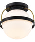 Lakeshore 1-Light Close-to-Ceiling Matte Black