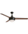 Modern Ceiling Fans