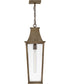 Georgetown Coastal Elements  1-Light Large Hanging Lantern in Burnished Bronze