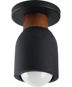 Pompeii 1-Light Flush Mount Lava / Black