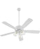Ceiling Fans and Accessories