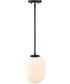 Noor 1 Light Pendant Matte Black