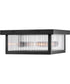 Torrent 2-Light Medium Flush Mount in Black