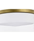 Rowen 4-Light Close-to-Ceiling Natural Brass