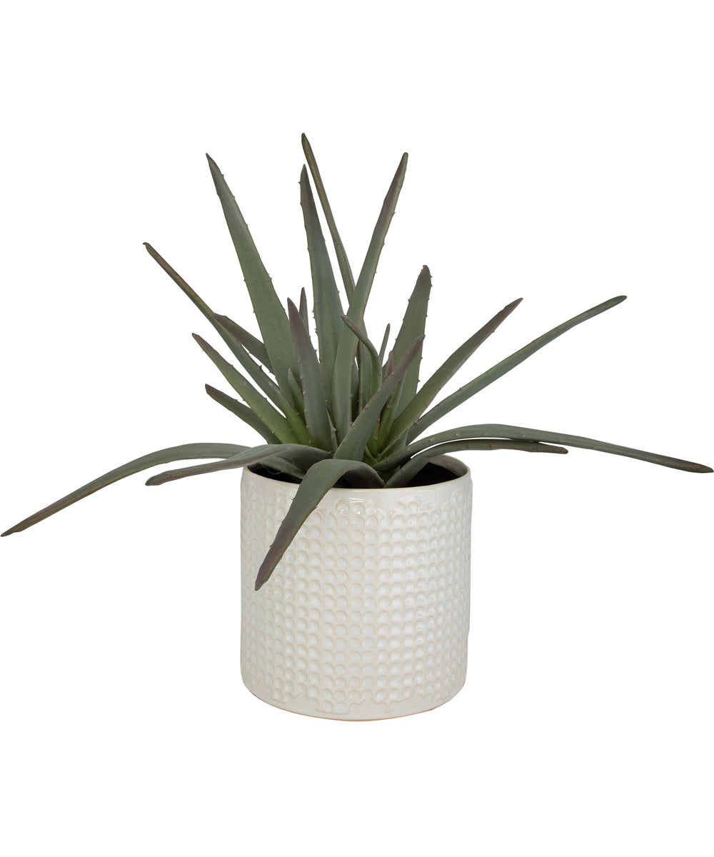 Taos Aloe Centerpiece