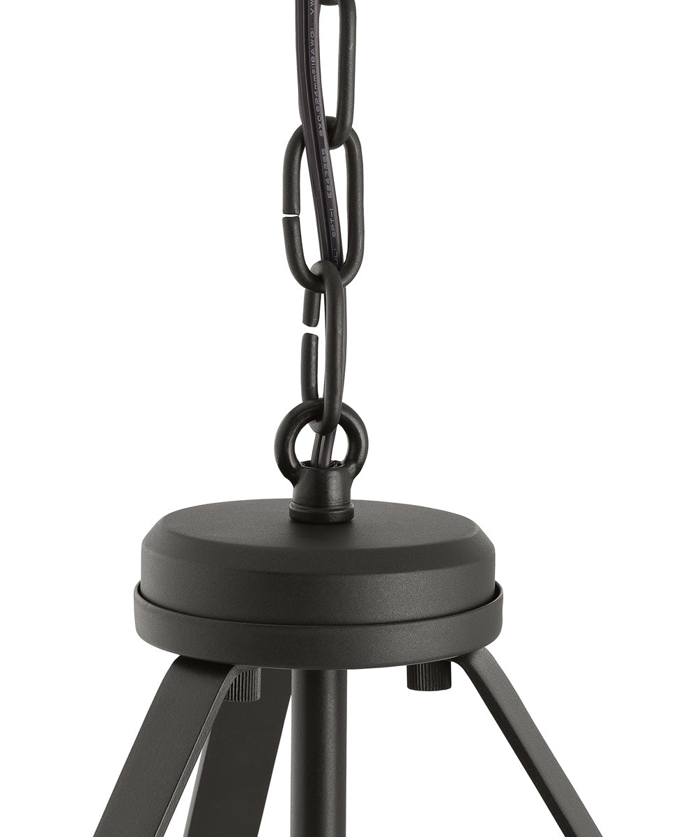 Lieon 2-Light Convertible Pendant Antique Bronze