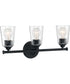 20"W Bransel 3-Light Vanity & Wall Matte Black