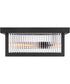Torrent 2-Light Medium Flush Mount in Black