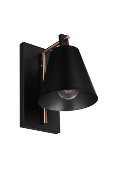 Blake 1-Light Lighting Flat Black/Satin Brass