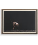 framed art