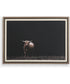 King Of The Hill Framed Bovine Print