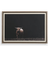 Animal Art