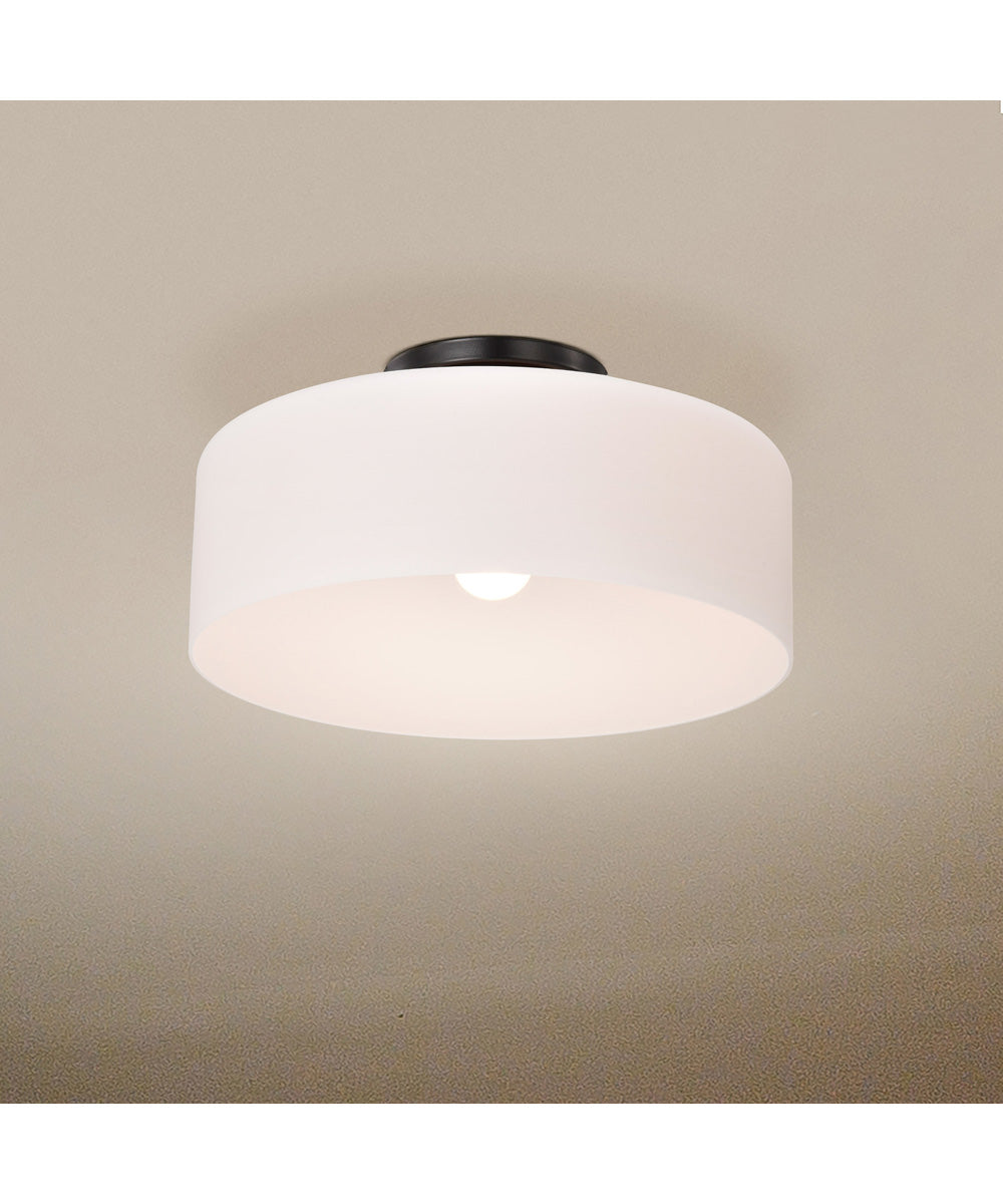 Warren 1-Light Close-to-Ceiling Gun Metal