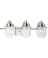 Northlake 3-Light Clear Glass Transitional Bath Light Brushed Nickel