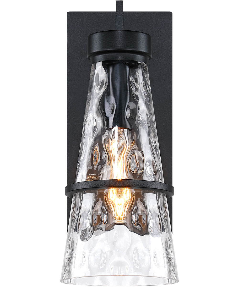 Field Daisy Lane Outdoor Wall Sconce Black